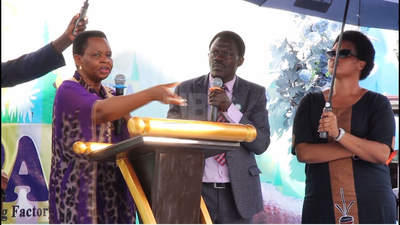 Youth Platform Africa Transforms Farmers’ Lives Through Goat Farming