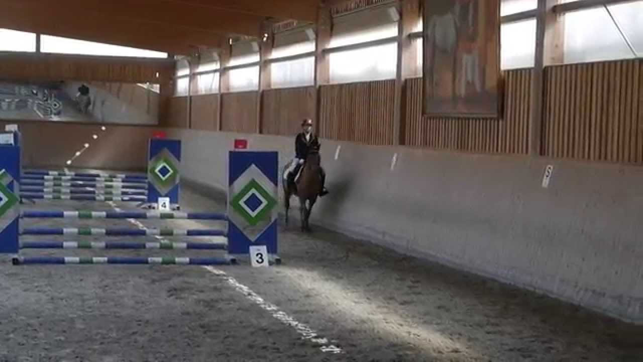 Deutsches Reitabzeichen 5 e-Stilspringen