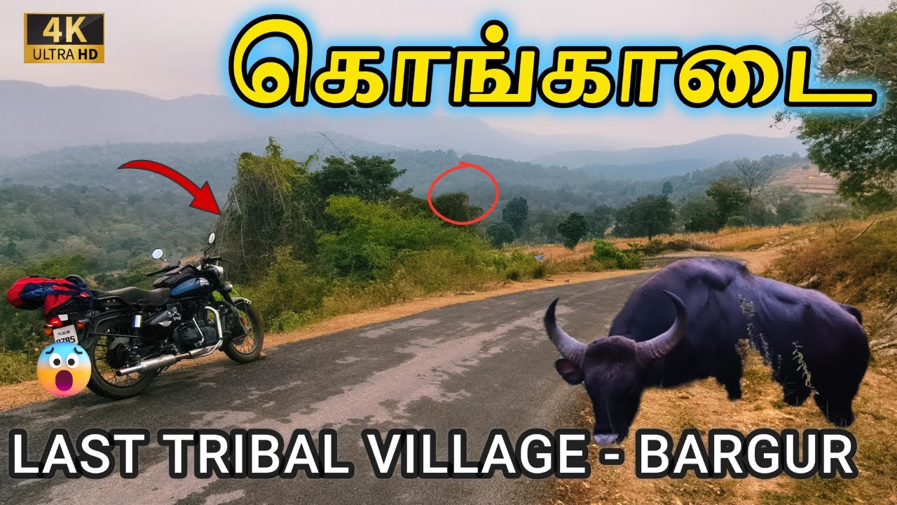 👉கொல்லும் மிருகங்கள் வாழும் 😳 காட்டுப்பகுதி - 