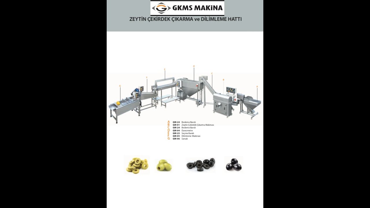 GM-01 Olive pitting machine line