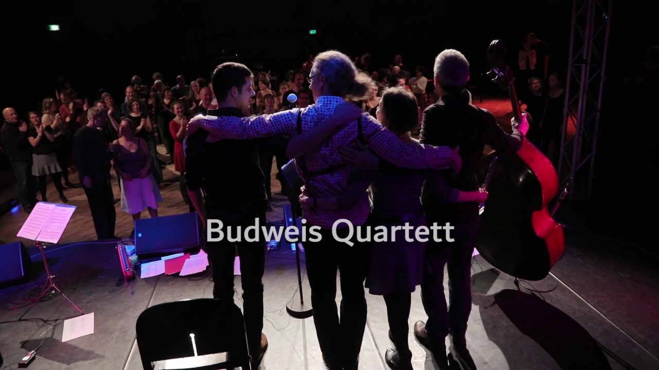 Budweis Quartett - Mamparas