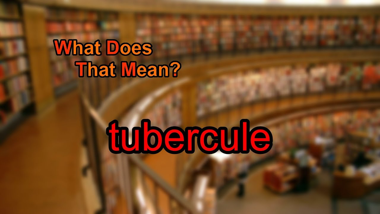 What does tubercule mean?