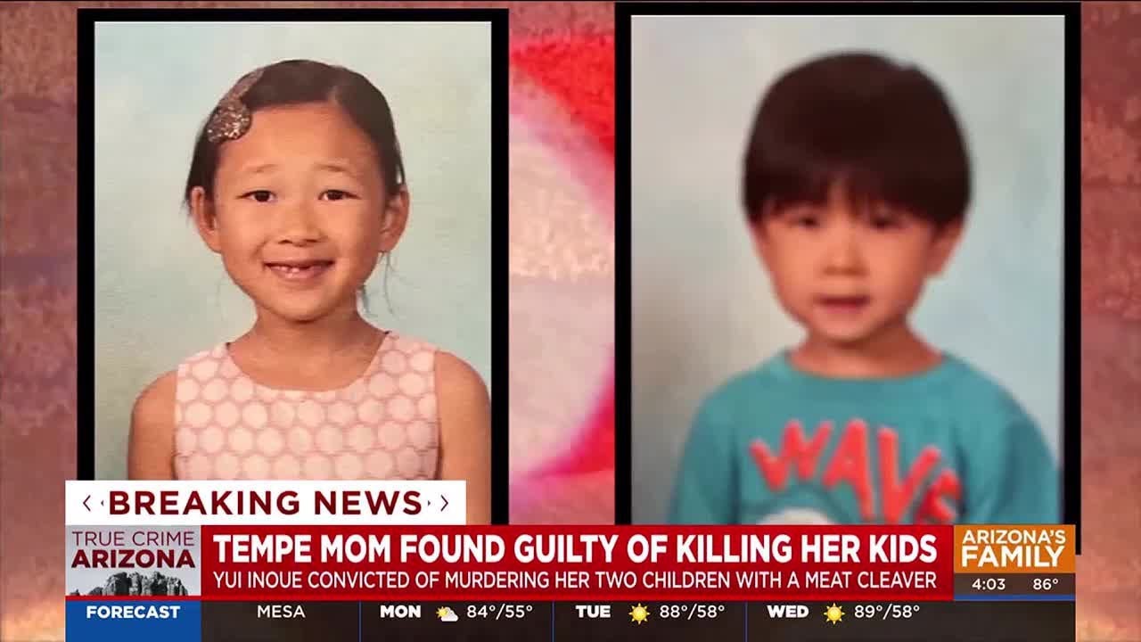 Arizona Mom who killed her kids with a meat cleaver found guilty