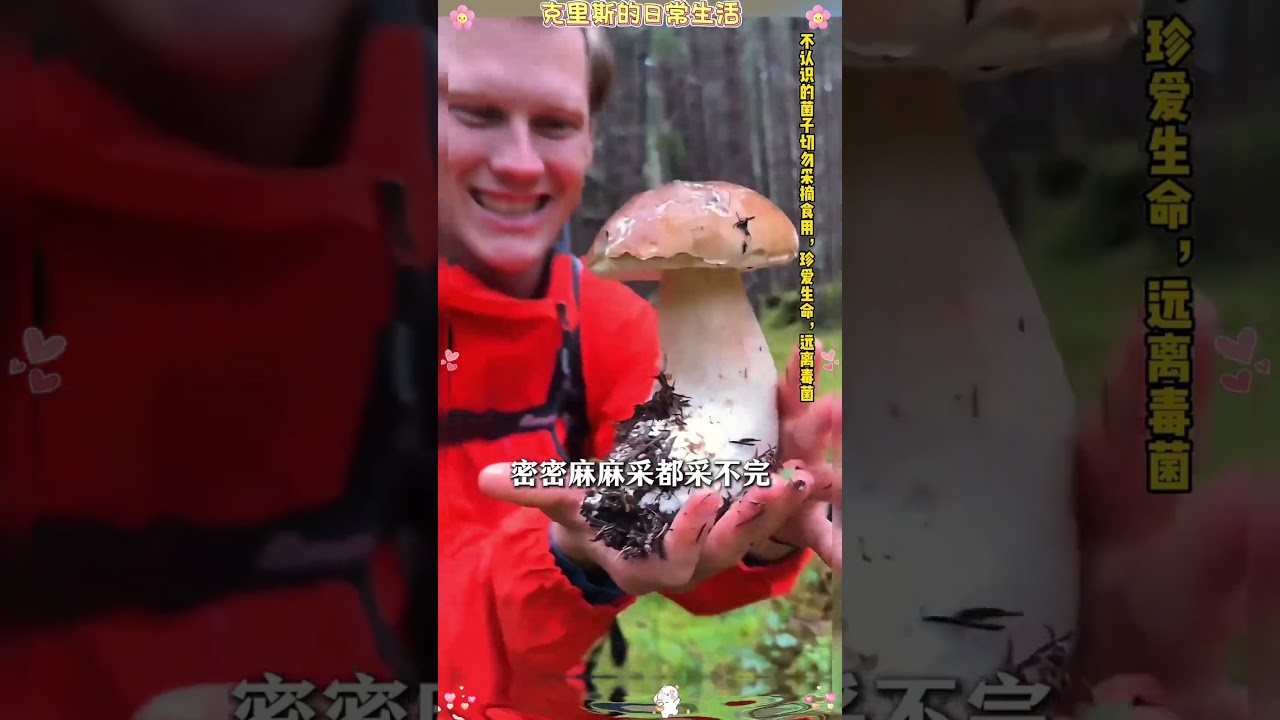 在挪威过日子竟然能过成这样......#日常生活 #生活方式 #美食 #老外 #记录真实生活