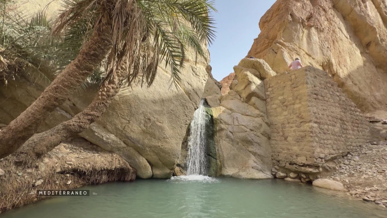 MEDITERRANEO – En Tunisie, de Tozeur aux oasis de montagne : voyage aux confins de l’Atlas saharien