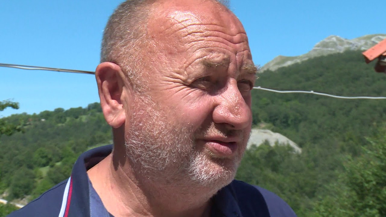 Grkovic na sudu zbog ubistva medvjeda \ Trebinje (BN TV 2019) HD