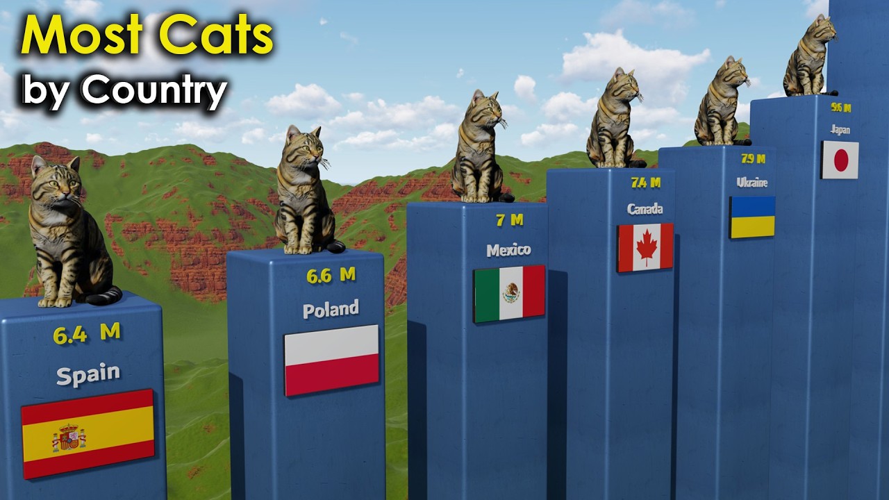 Cat population ranking - Which Country Has the Most Cats?