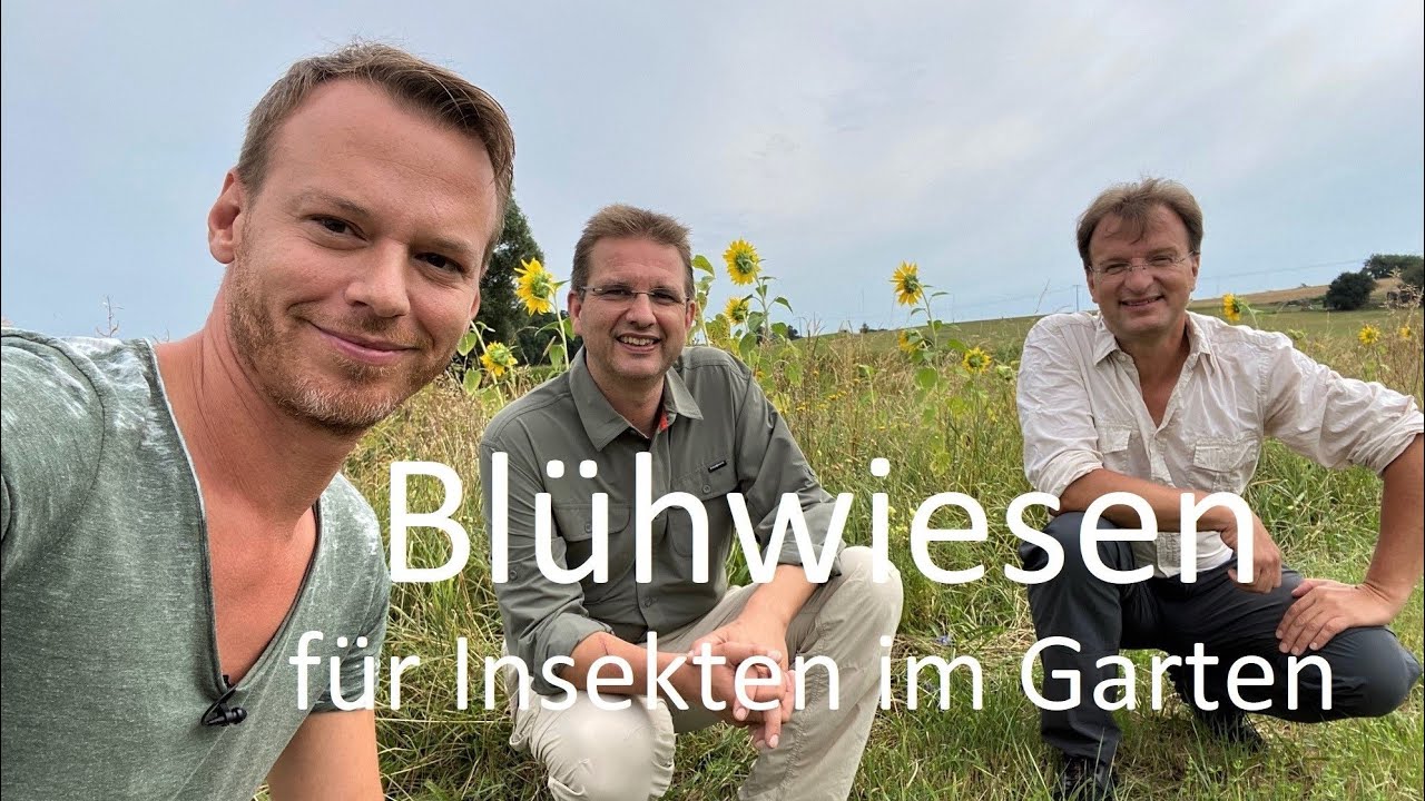 Bl&uuml;hwiesen f&uuml;r Tiere im Garten: Das Artenschutztrio