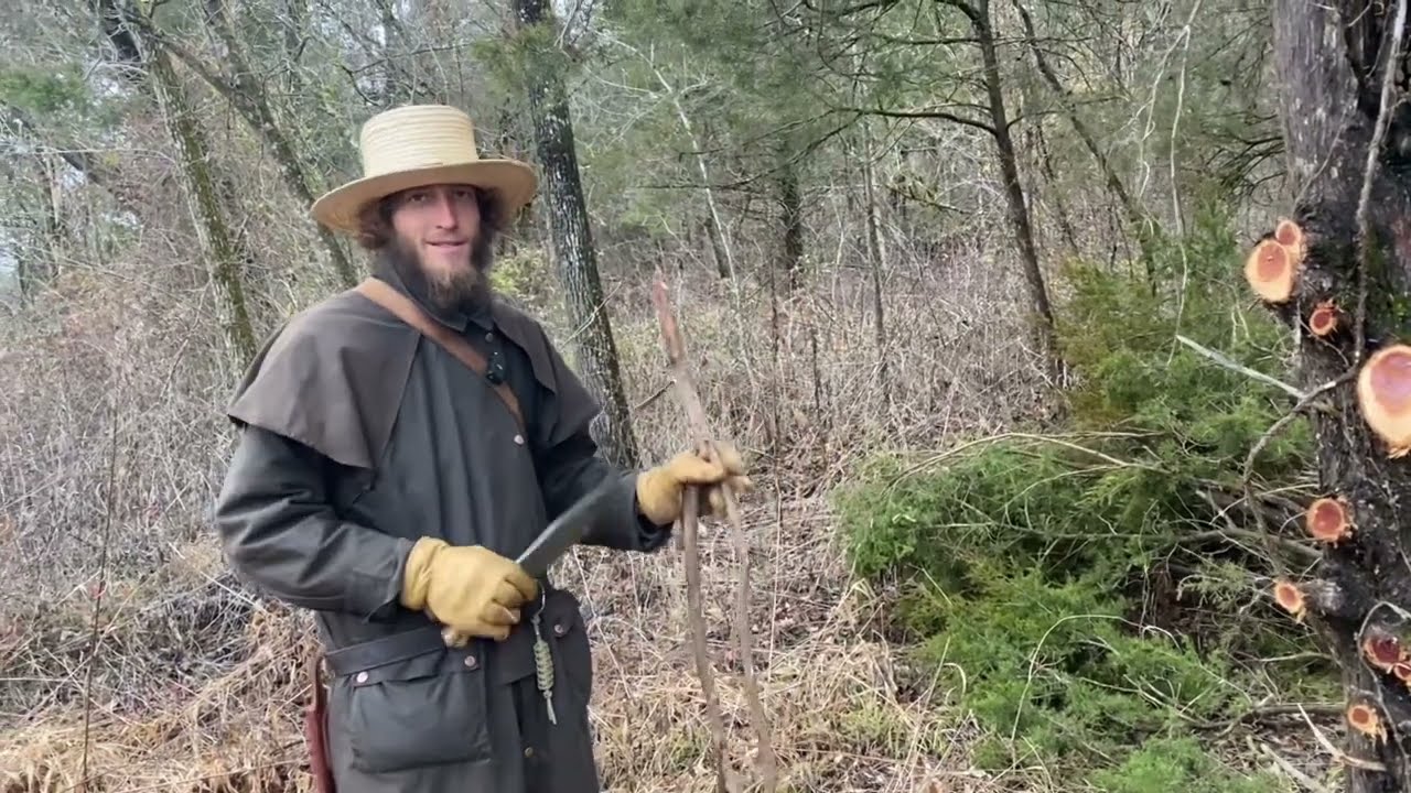 Y1Q1 Lesson 2 - Day 7: Nature Hike: Trees 🌳