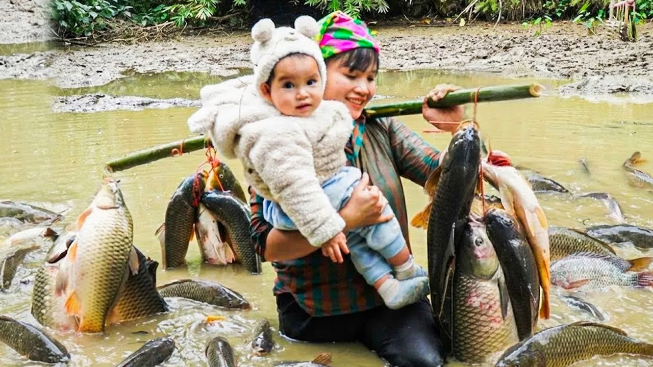 How to catch giant fish from the muddy swamp sell them at the market   surviving alone in the forest