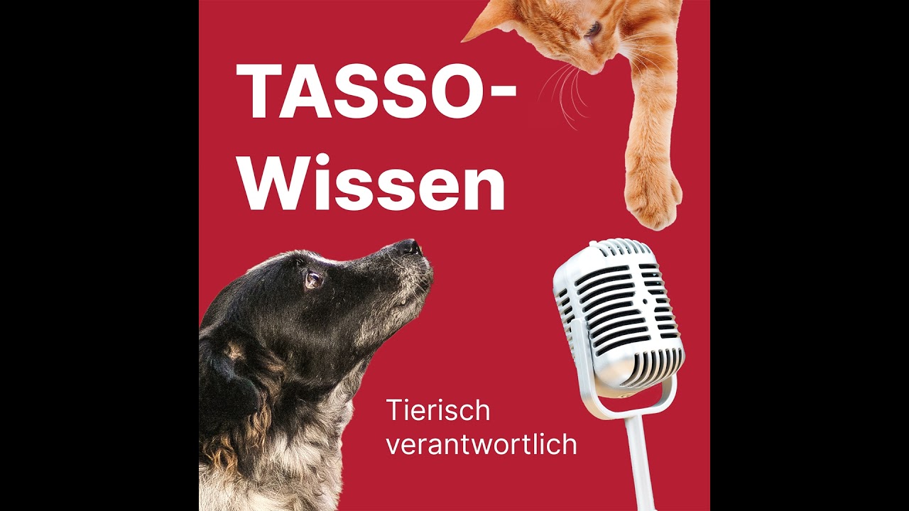 Tier richtig sichern