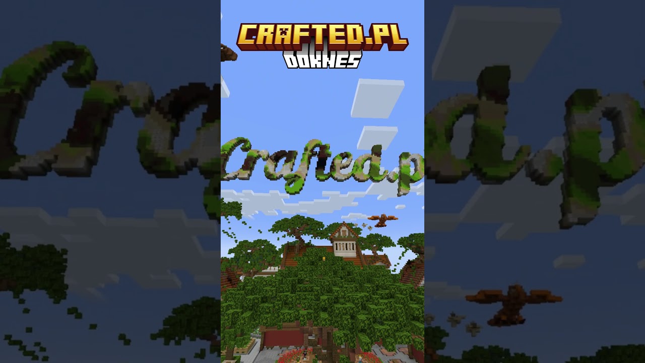 TOP 3 SERWER&Oacute;W POLSKICH YOUTUBER&Oacute;W W MINECRAFT!
