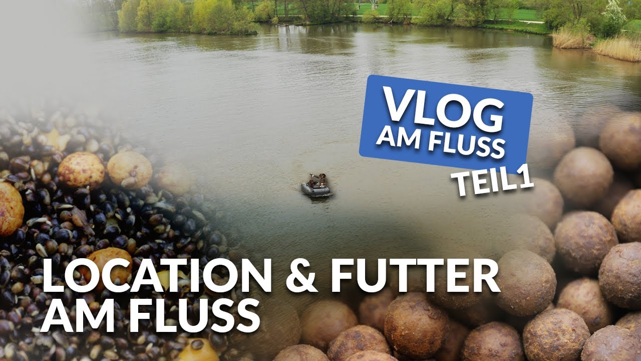VLOG am Fluss - Location & Futter | Karpfenangeln bei Strömung | Boilie | P.R. Baits