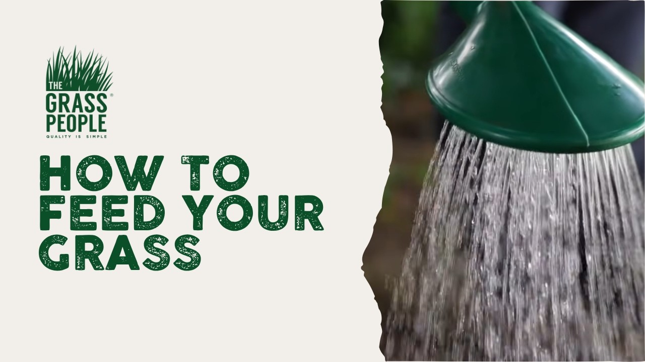 How to Feed Your Grass - Great Lawns Made Simple