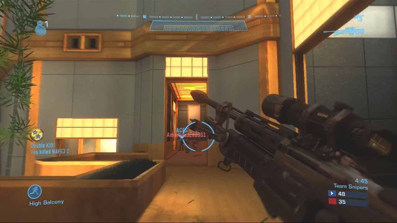 Standard Halo