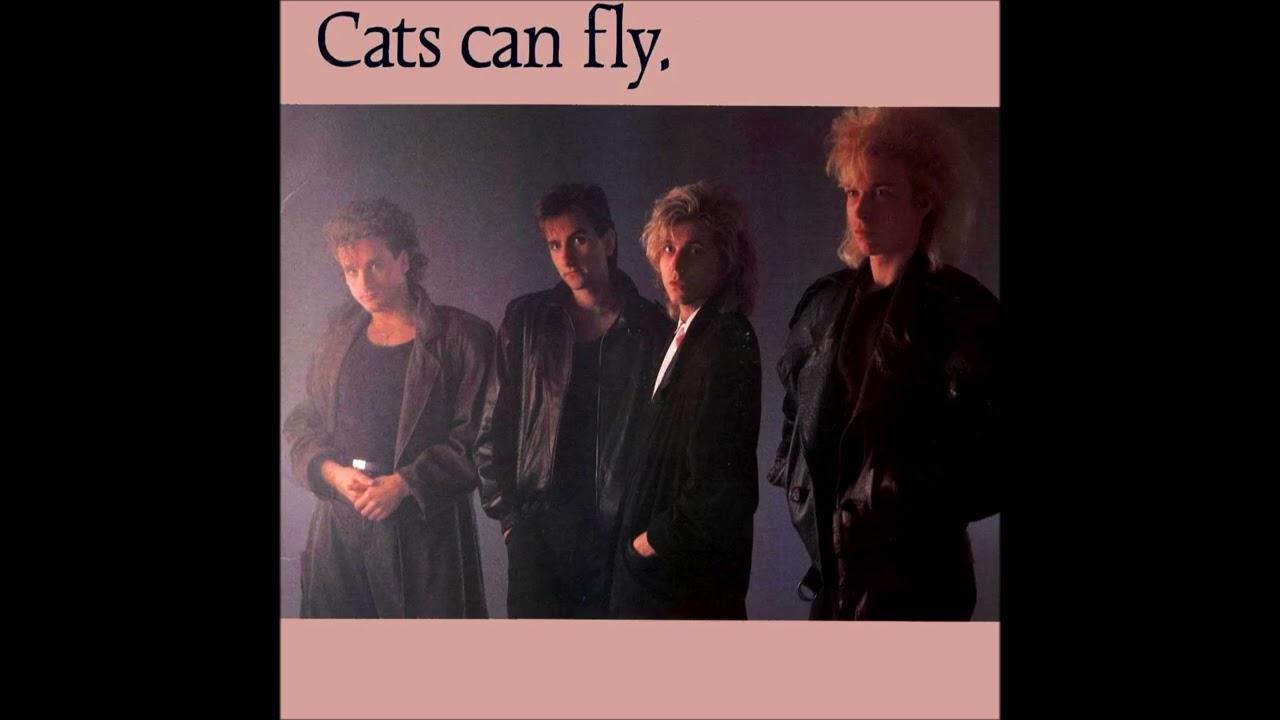 Cats Can Fly - I draw the line [lyrics] (HQ Sound)