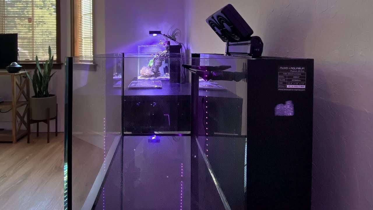 Innovative Marine 20 Nuvo *New Tank!*
