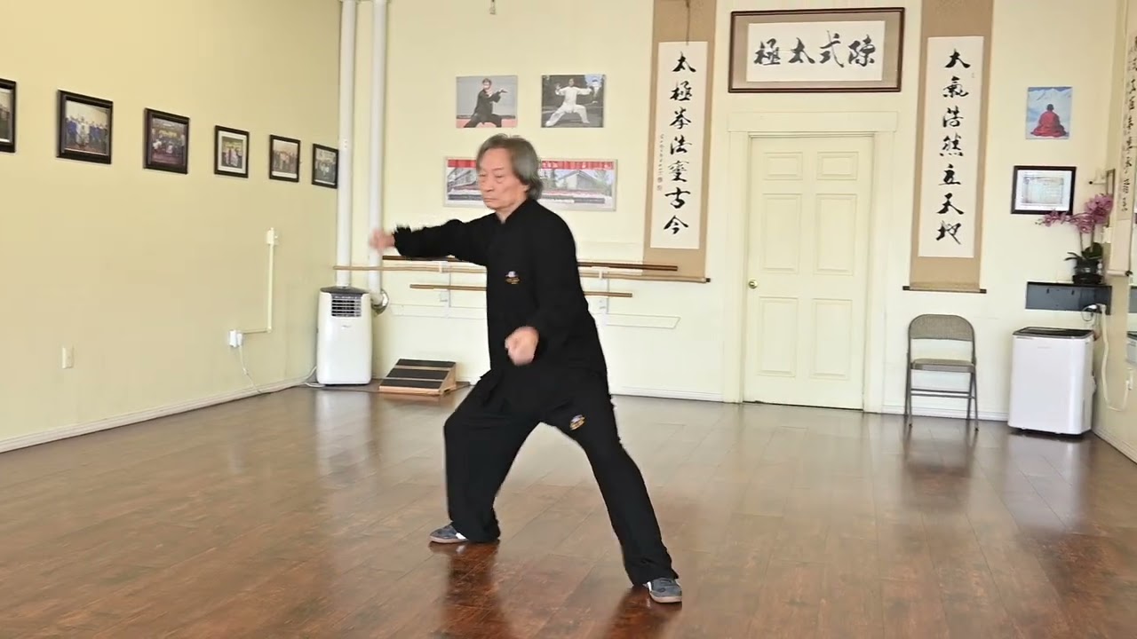 A Lifetime of ChenTaiChi Technique Demo  EP 36