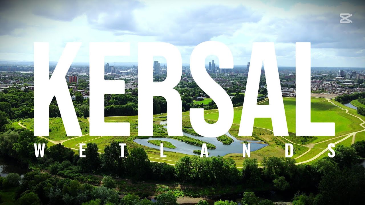 Nature Meets City | Tranquil Drone Tour of Kersal Wetlands