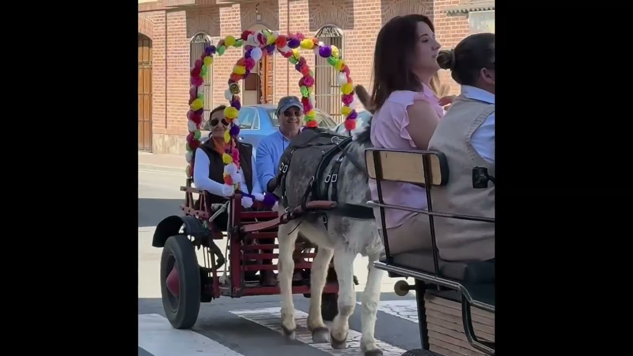 Paseo a caballo. Feria De Primavera de Nava de la Asunción 2025