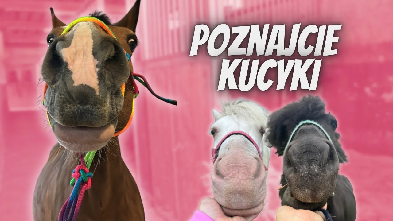 VLOG ZE STAJNI - POZNAJCIE KUCYKI 🦄