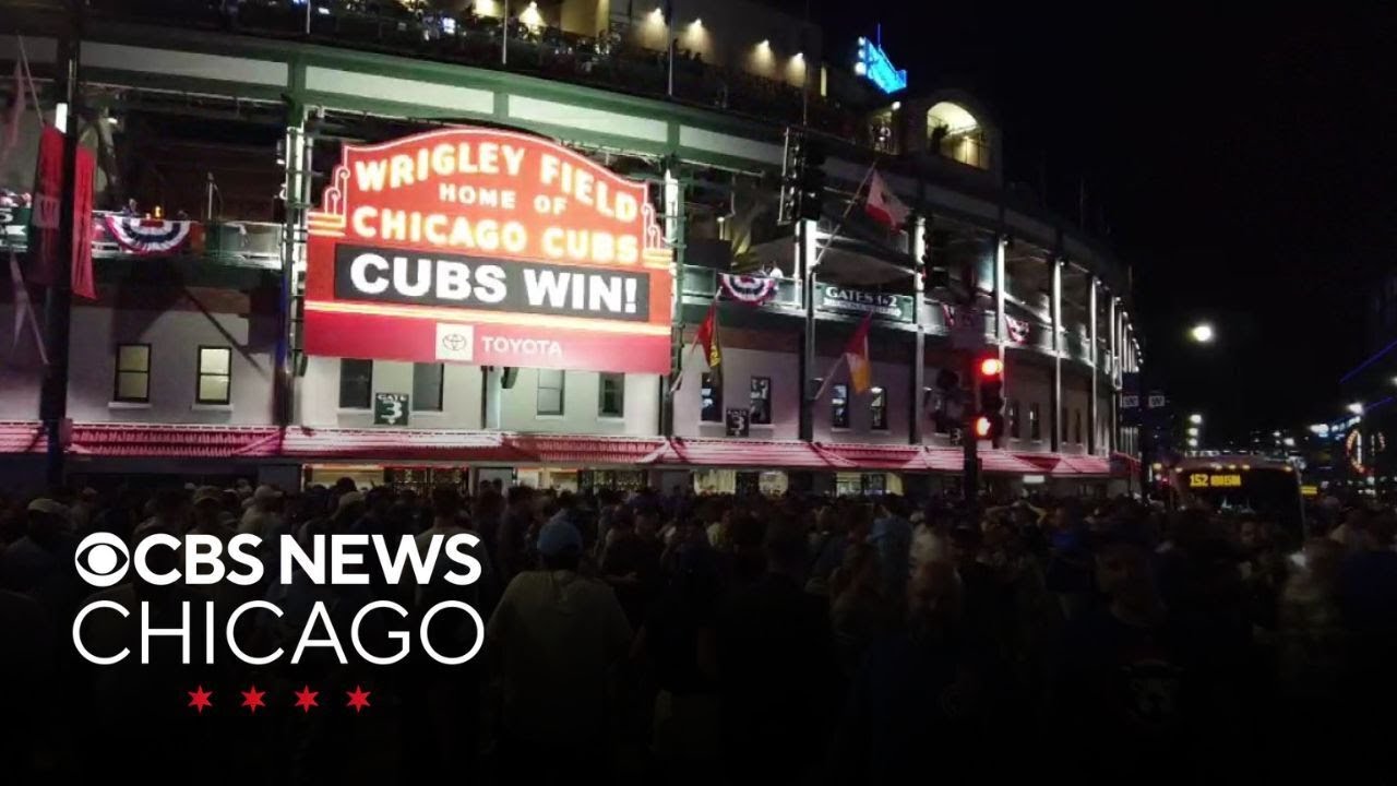 Cubs fans celebrate Wild Card series win