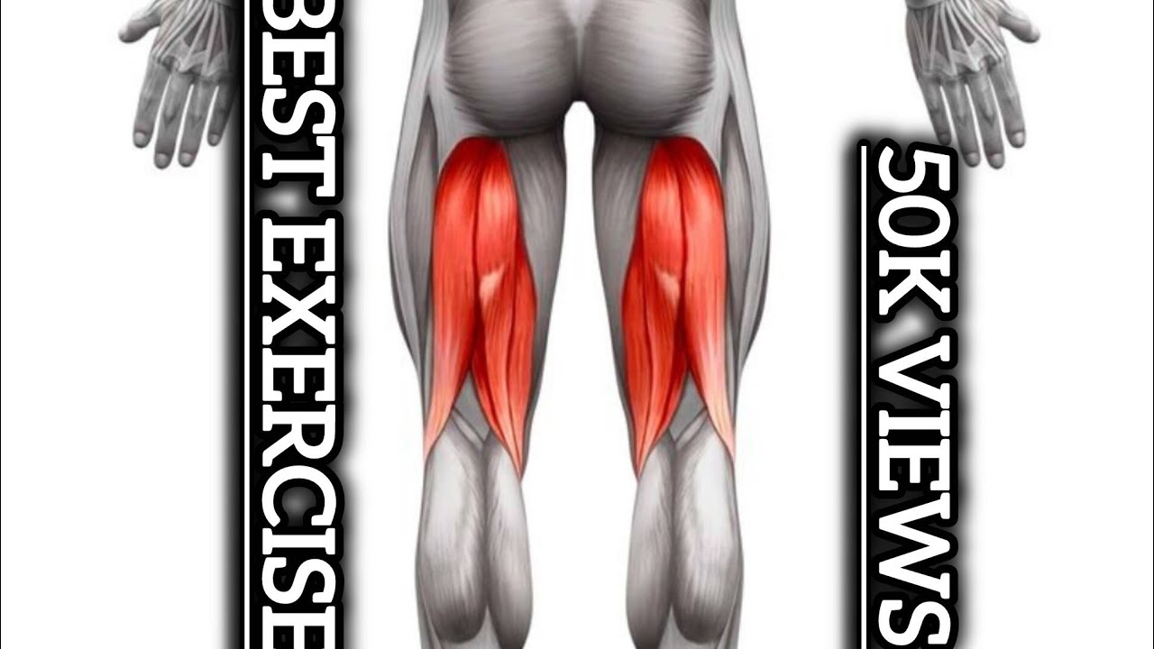 7 Best exercise for hamstring ❤️ gym and home workout 