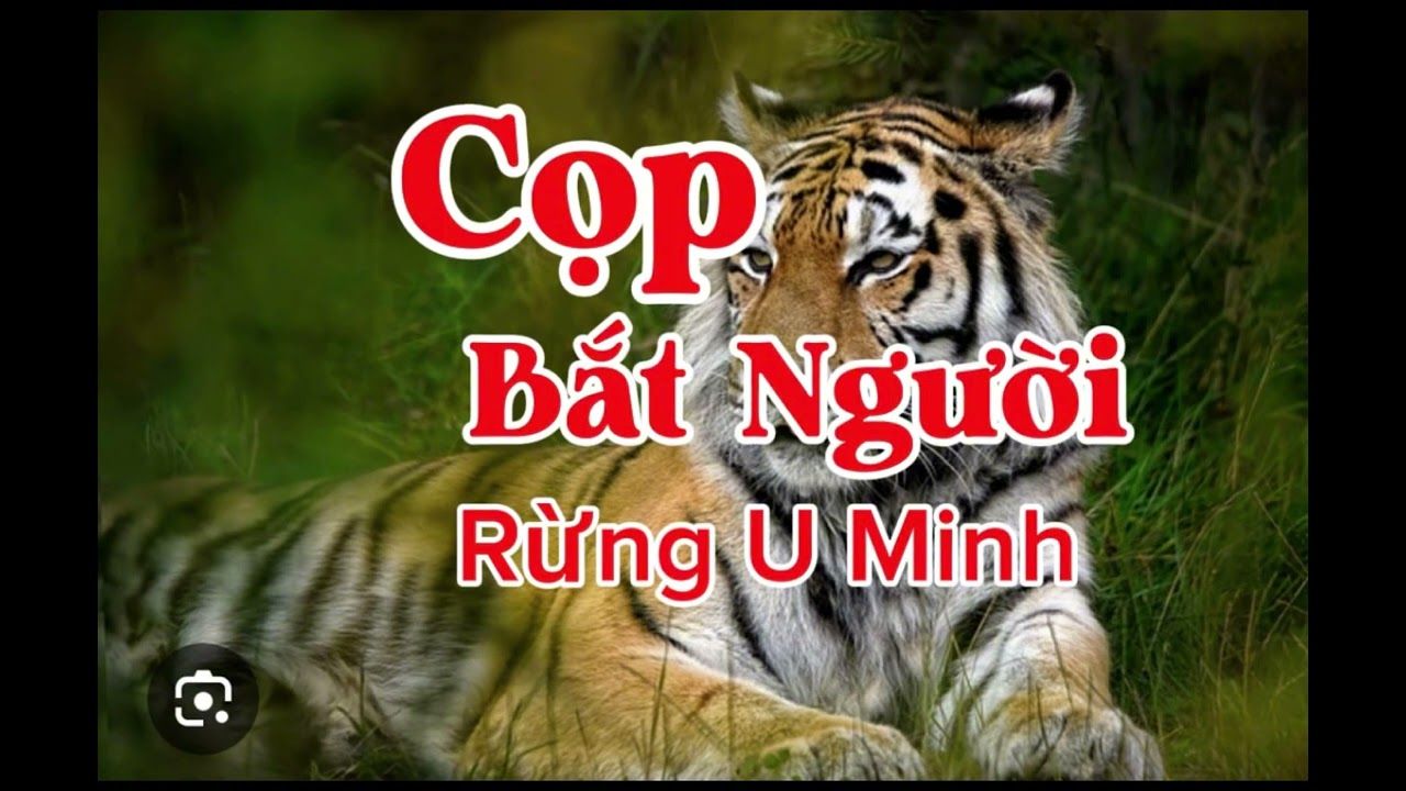 CỌP BẮT NGƯỜI RỪNG U MINH | Lê Anh diễn đọc 
