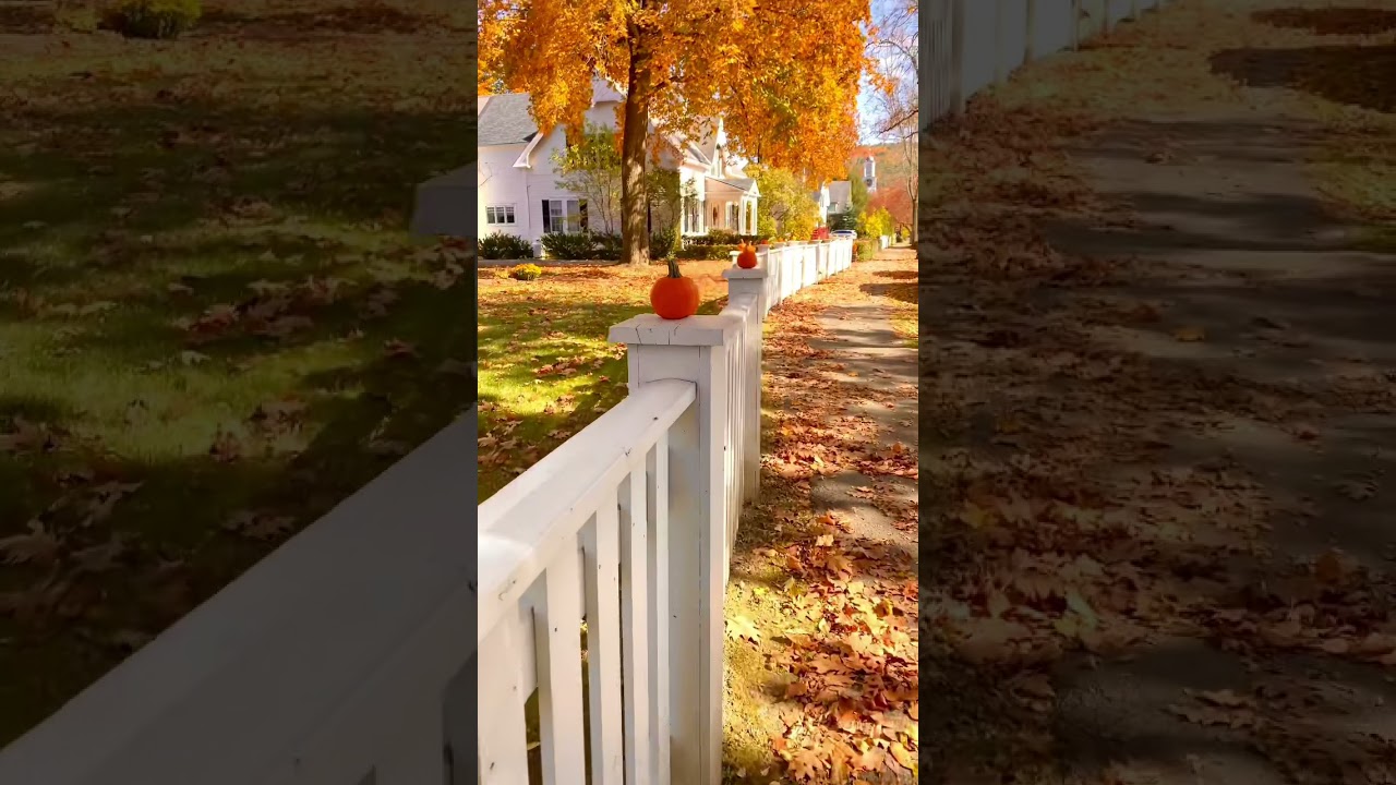 Fall colors and pumpkins in Woodstock Vermont