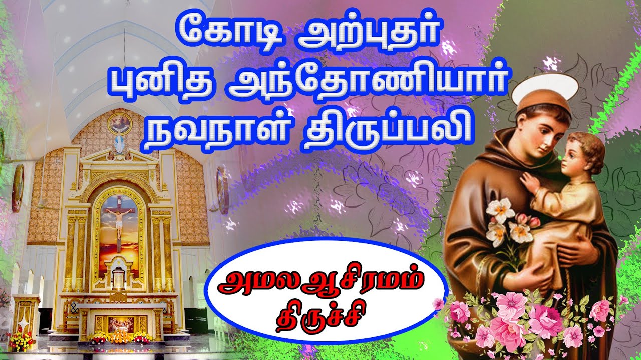 🔴 🅛🅘🅥🅔 ✠ கோடி அற்புதர் புனித அந்தோணியார் நவநாள் திருப்பலி ✠அமல ஆசிரமம்✠ 24 Feb 26 ✠ #stantonys #mass