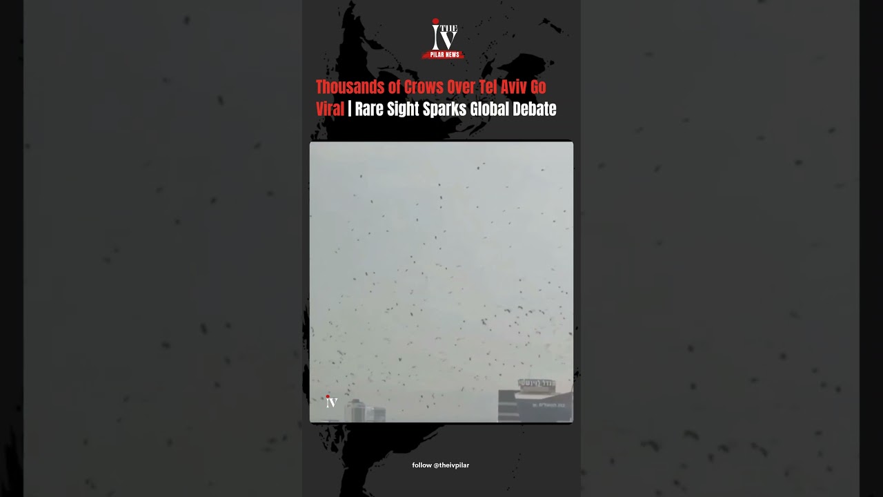 Thousands of Crows Over Tel Aviv Go Viral| Rare Sight Sparks Global Debate