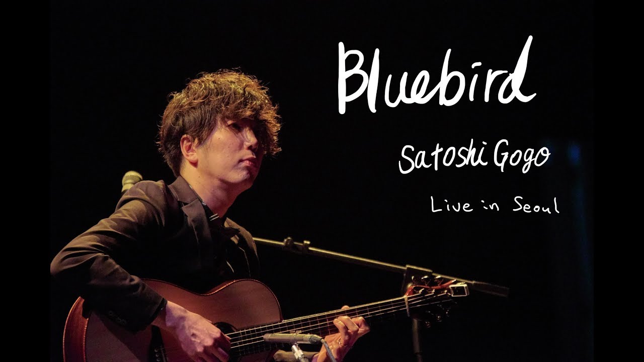 Bluebird (Live in Seoul) / Satoshi Gogo (Original composition, Solo guitar)