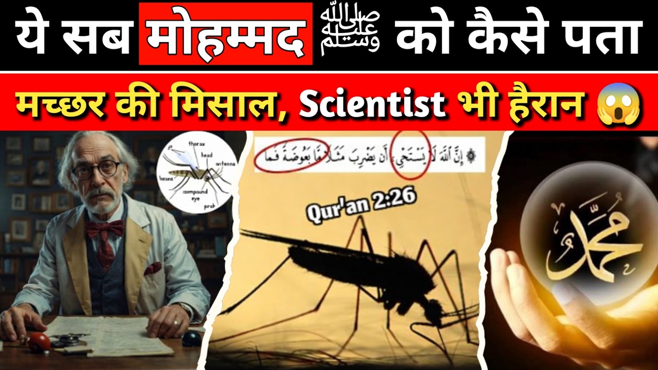 How Did Prophet Muhammad ﷺ Know This About Mosquitoes 1400 Years Ago? | Quran Scientific Miracle