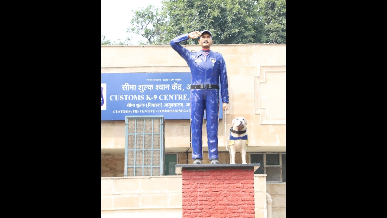 Customs K9 Passing Out 2020