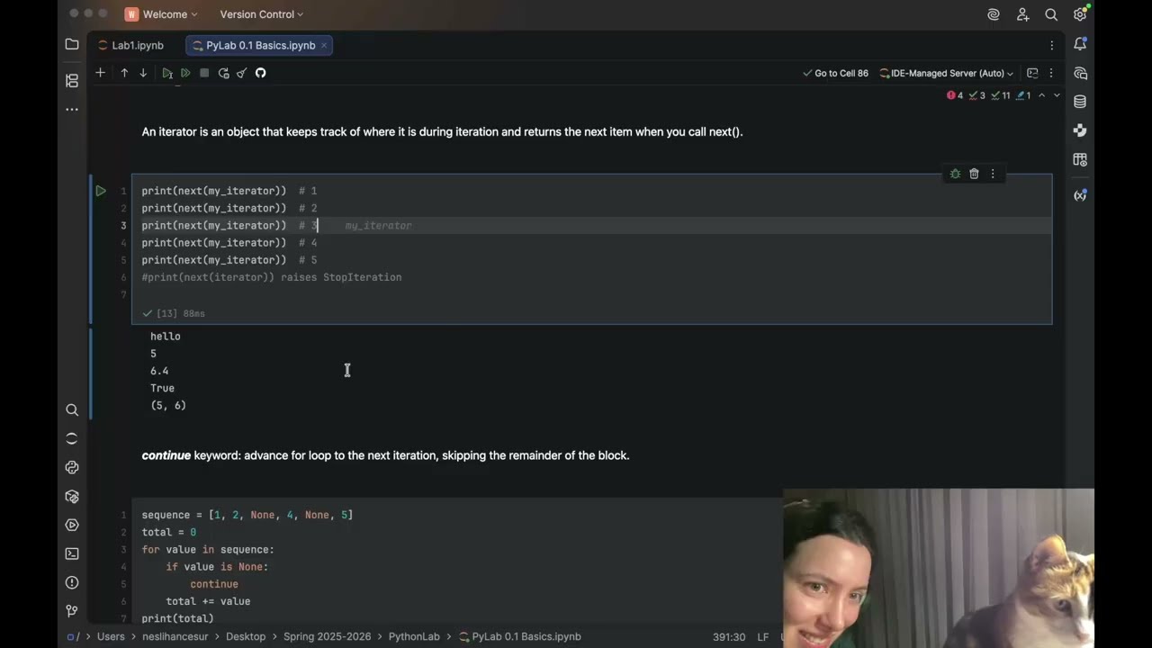Data Science Lab 1.3 - Iterators and For Loops