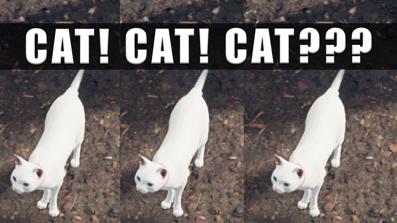 Final Fantasy 7 Remake Cats locations - Find the missing Beginner's Hall cat for Betty