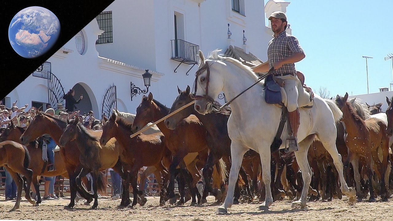 European Cowboys  (And Where They Come From)