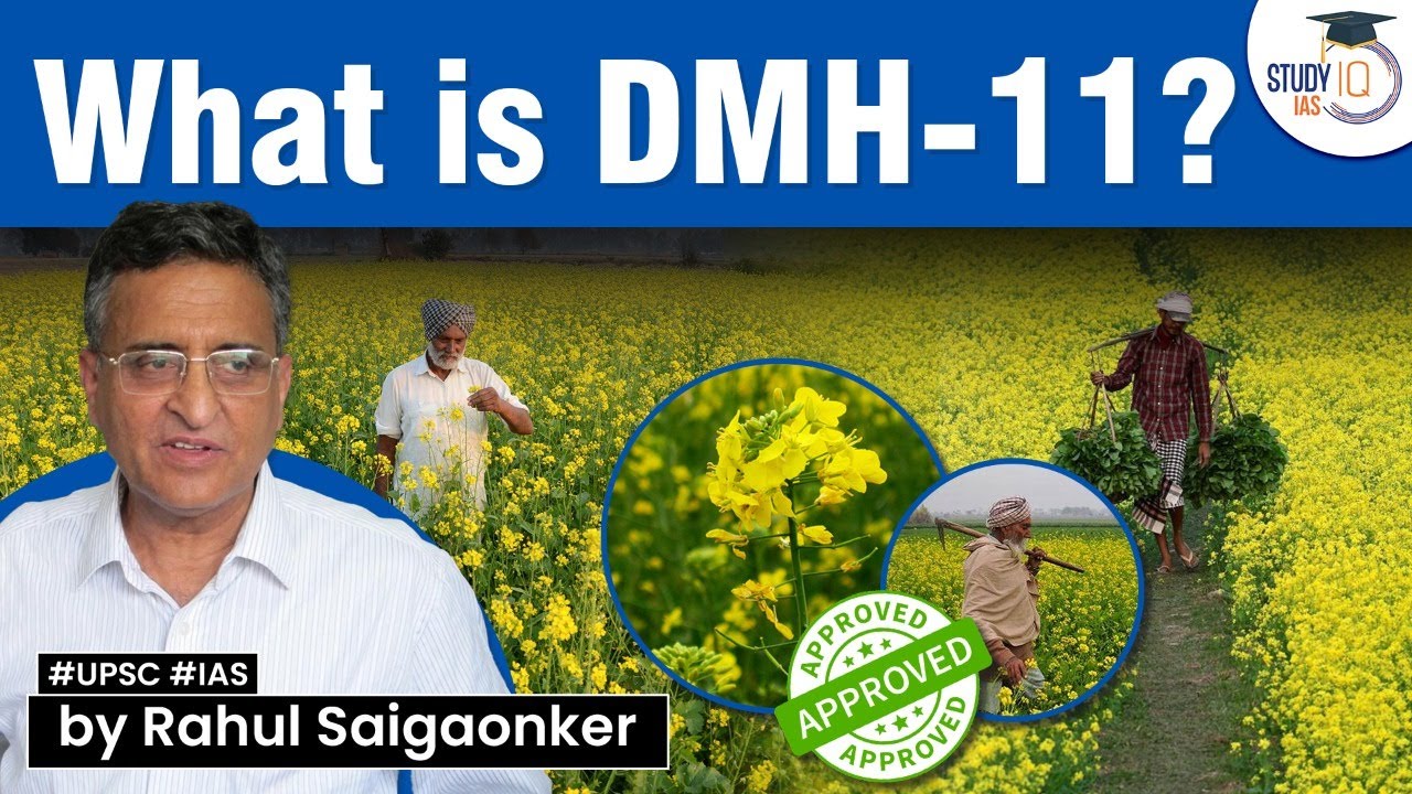 GM mustard DMH-11 approved by GEAC. How is DMH-11 developed? UPSC