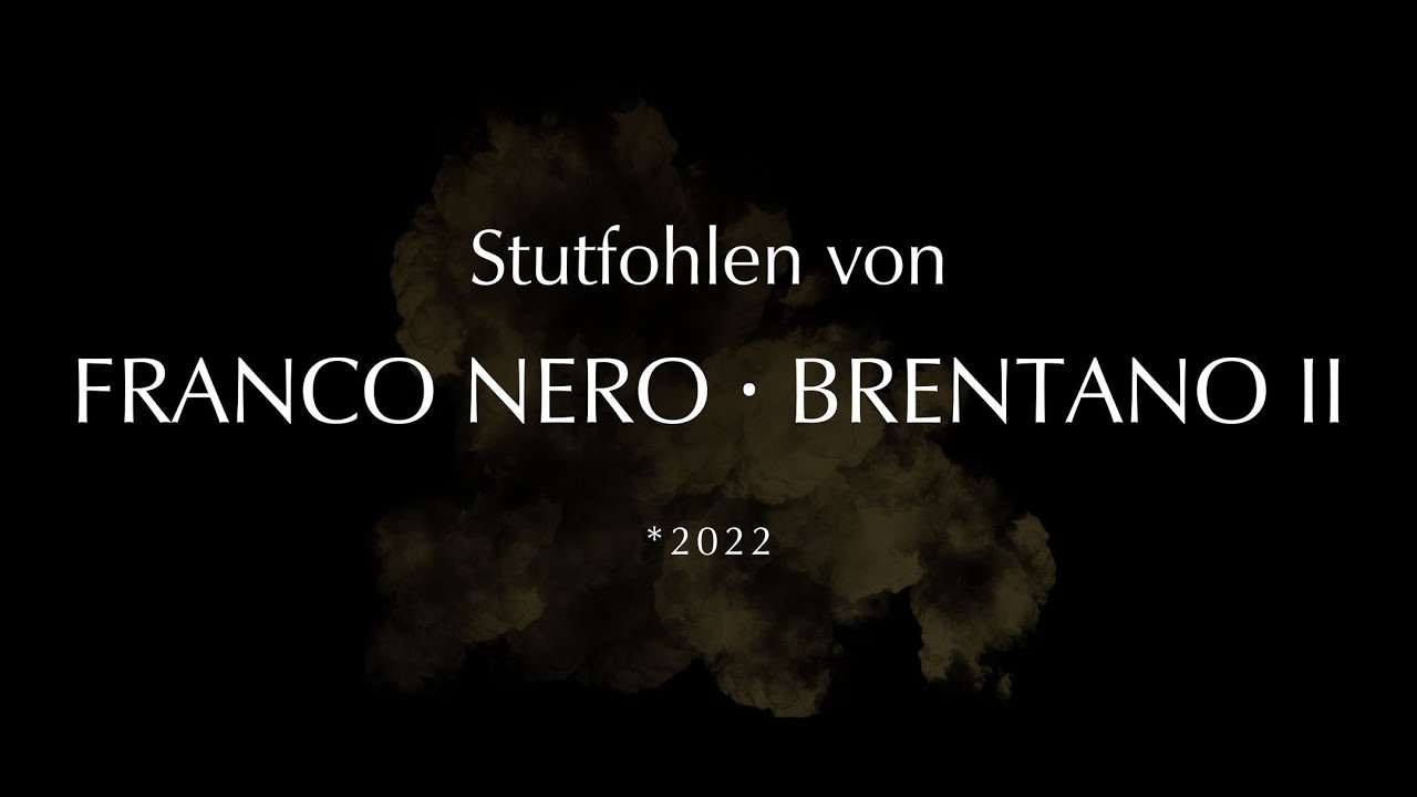 Stutfohlen von Franco Nero - Brentano II | *2022