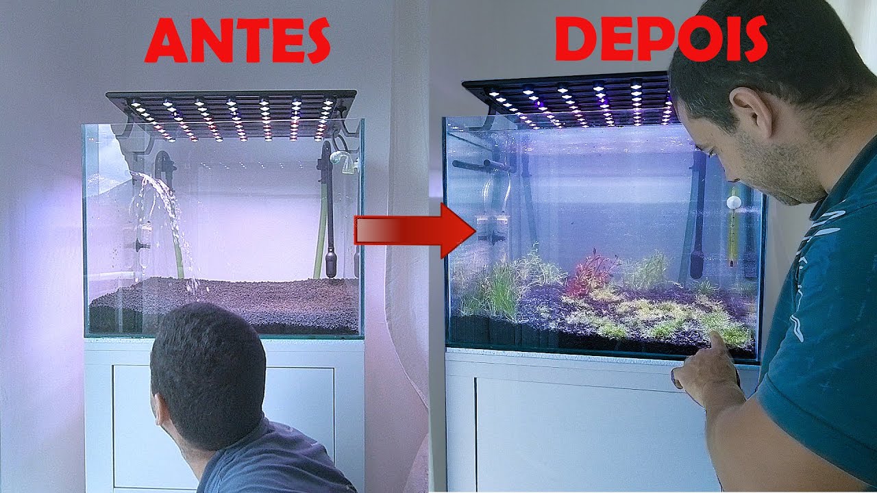 MONTANDO MEU AQUÁRIO PLANTADO HIGH TECH - passo a passo - PARTE 1
