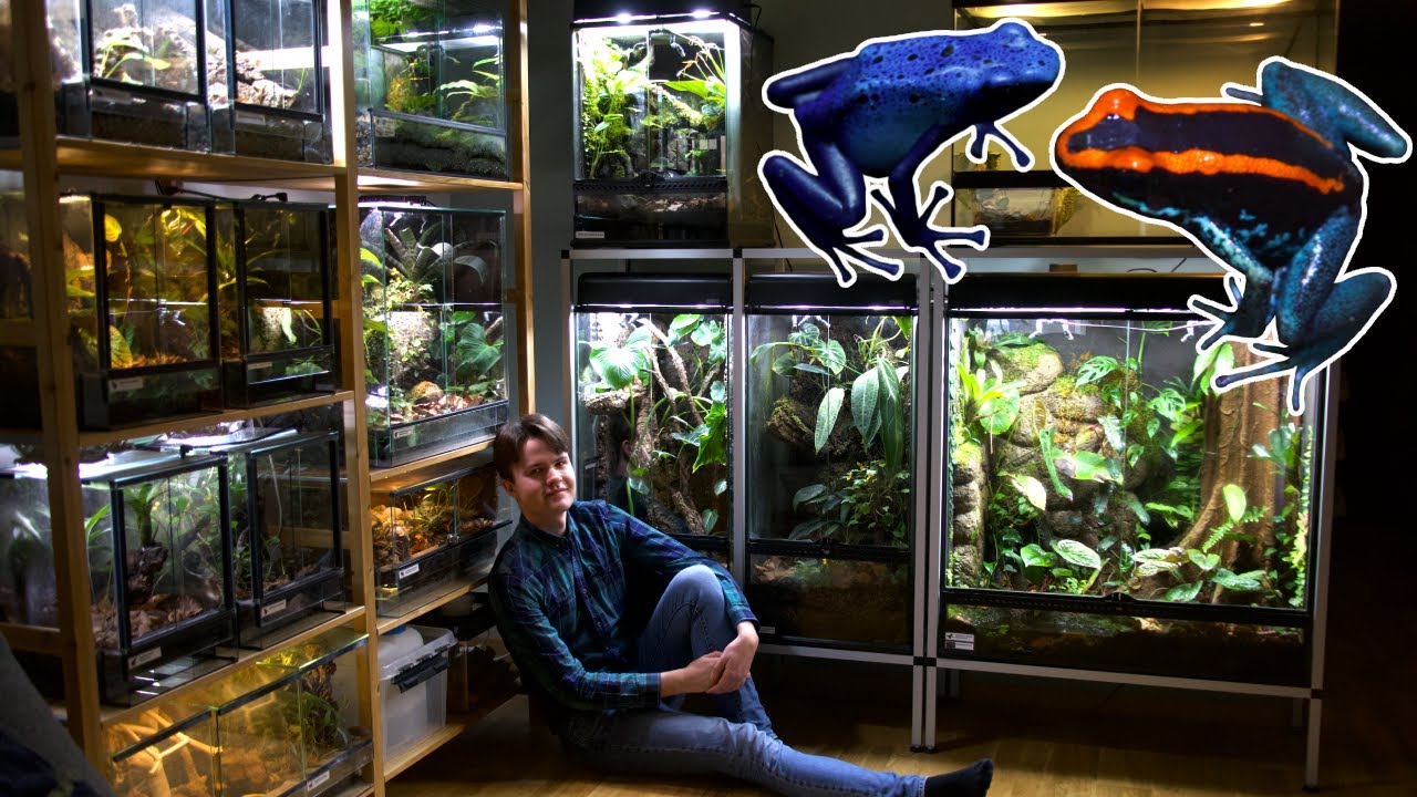 Frog Room Tour 2026 - NEW APARTMENT