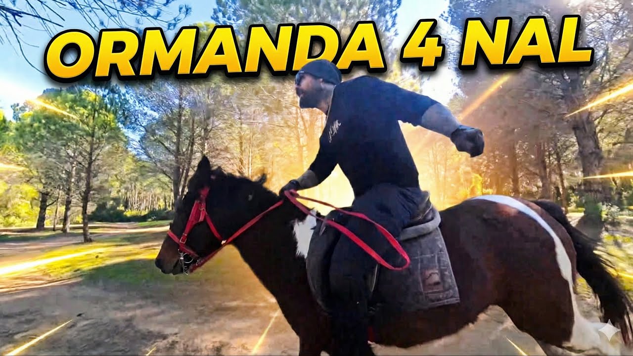 Ormanda Dizginleri Serbest Bıraktık! | 4 Nal Saf Adrenalin