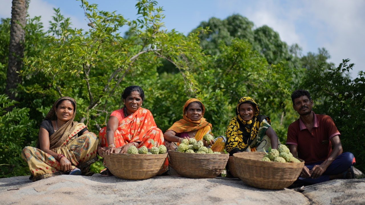 LA South Asia | Bastar Se Bazar Tak: Strengthening NTFP Value Chains for Tribal Communities
