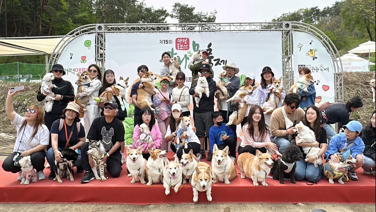 에디를 위한 약속! 반려견과 함께 걷는 새로운 세상