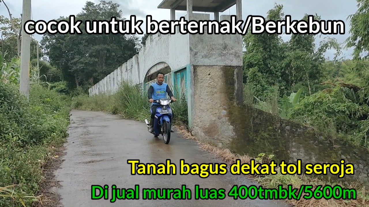 Lingkungan Aman !! Ada tanah mau di jual Luas 400tumbak Di tawarkan 2,5jt/TBK nego