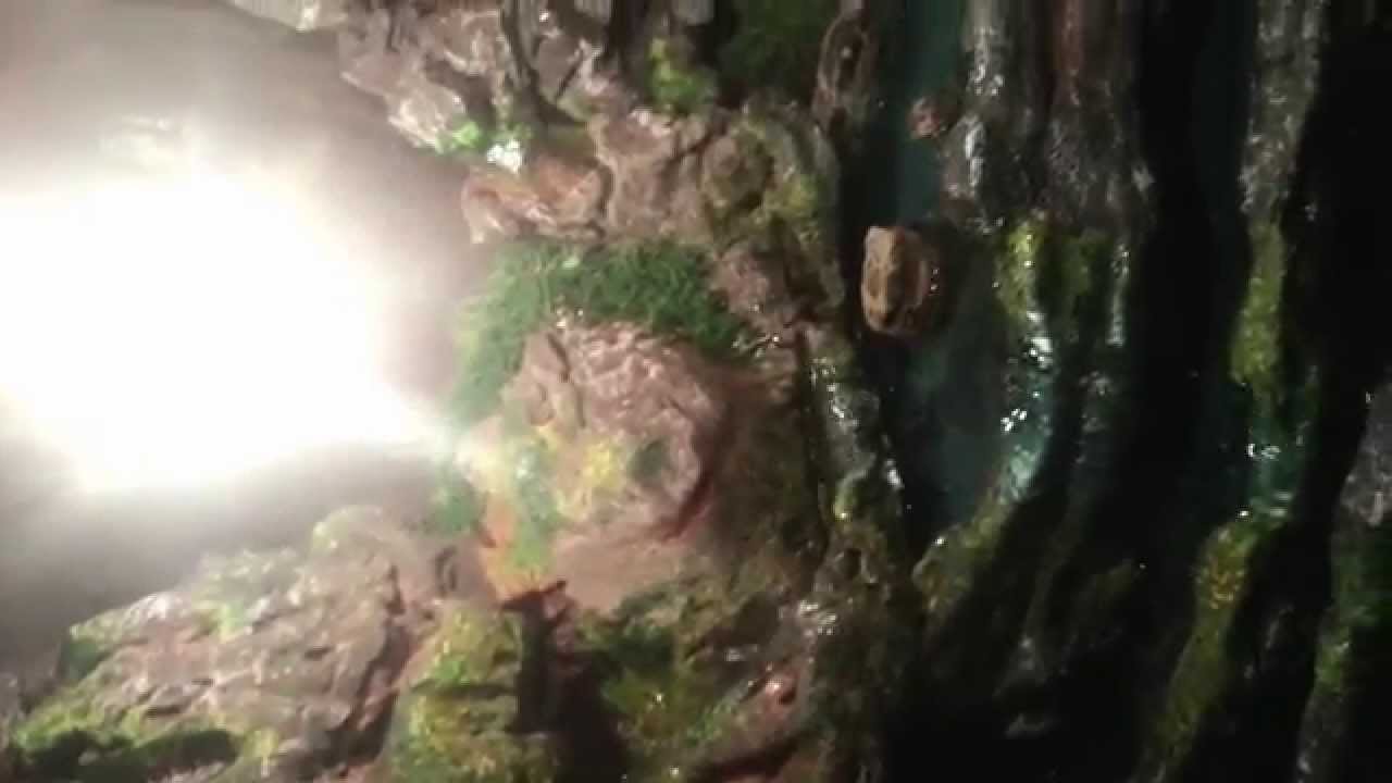Regenwaldterrarium mit Wasserfall
