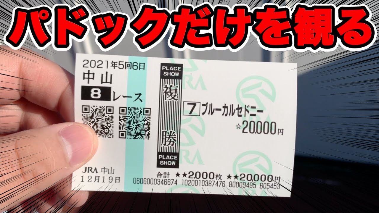 【競馬に人生賭けた大勝負】中山競馬場で8万円の軍資金を使ってオッズを一切見ずにパドックだけを観て買ってみたら【ギャン中】【検証】