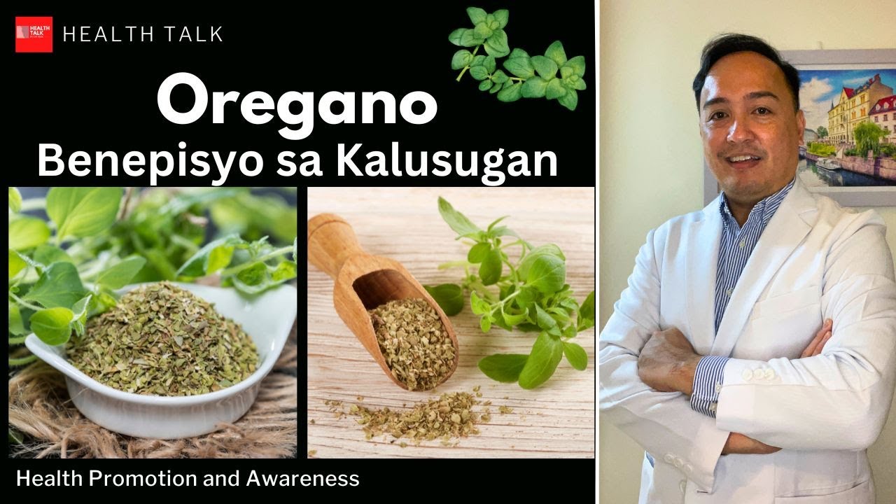 Halamang Gamot: Oregano benepisyo sa kalusugan