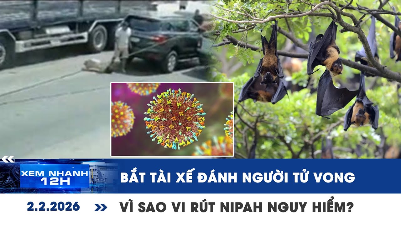 XEM NHANH 12H 2/2: Bắt tài xế đánh người tử vong sau va chạm | Vì sao vi rút Nipah nguy hiểm?
