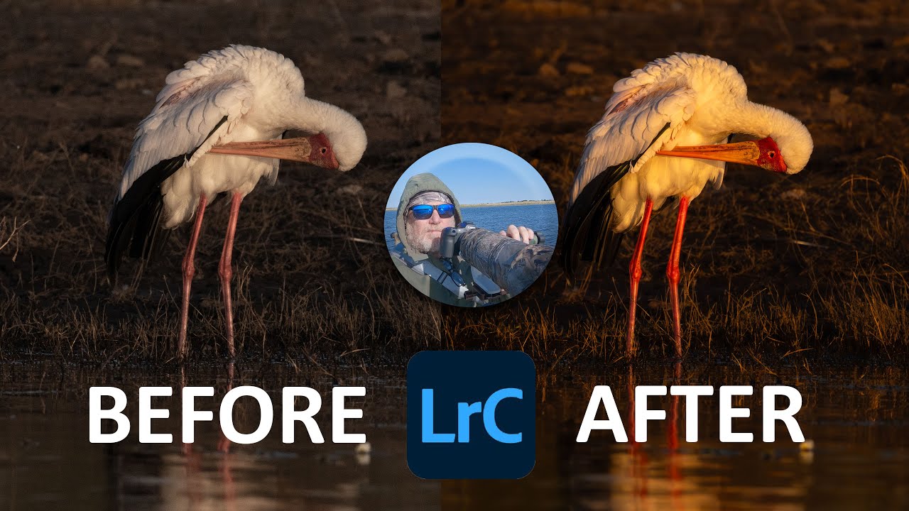 Photo editing Yellow Billed Stork